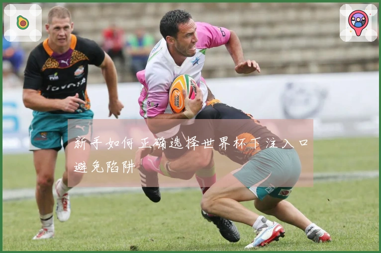 新手如何正确选择世界杯下注入口避免陷阱