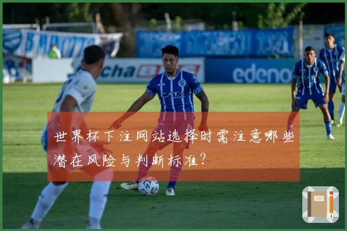 世界杯下注网站选择时需注意哪些潜在风险与判断标准？
