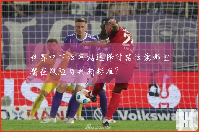 世界杯下注网站选择时需注意哪些潜在风险与判断标准？