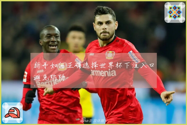 新手如何正确选择世界杯下注入口避免陷阱