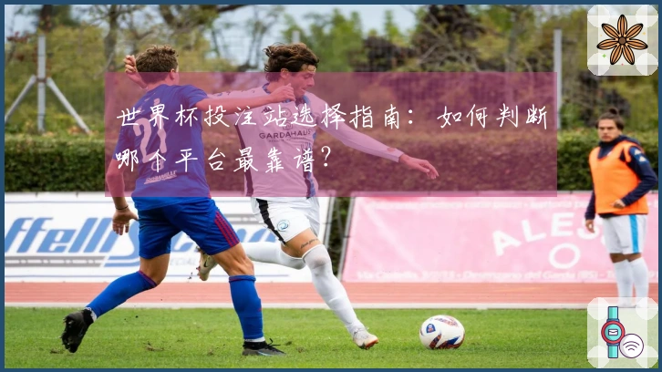 世界杯投注站选择指南：如何判断哪个平台最靠谱？