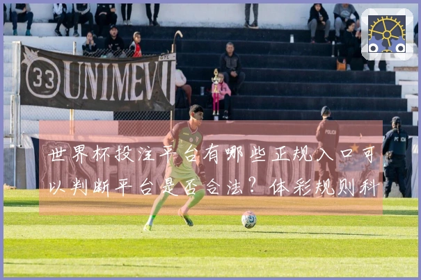 世界杯投注平台有哪些正规入口可以判断平台是否合法？体彩规则科普助你避坑