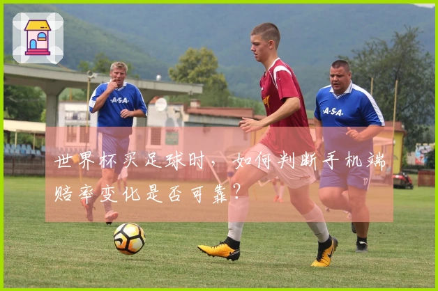 世界杯买足球时，如何判断手机端赔率变化是否可靠？